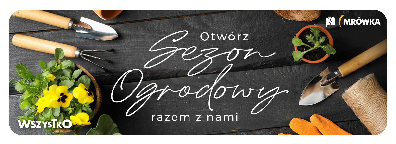 Grupa PSB mrowka PSB Mrówka Sępólno Krajeńskie