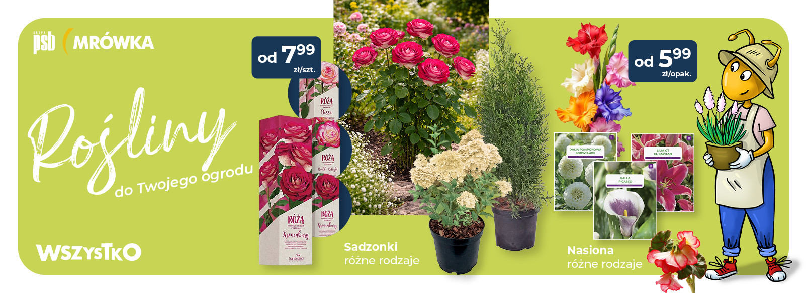 Grupa PSB mrowka PSB Mrówka Sępólno Krajeńskie